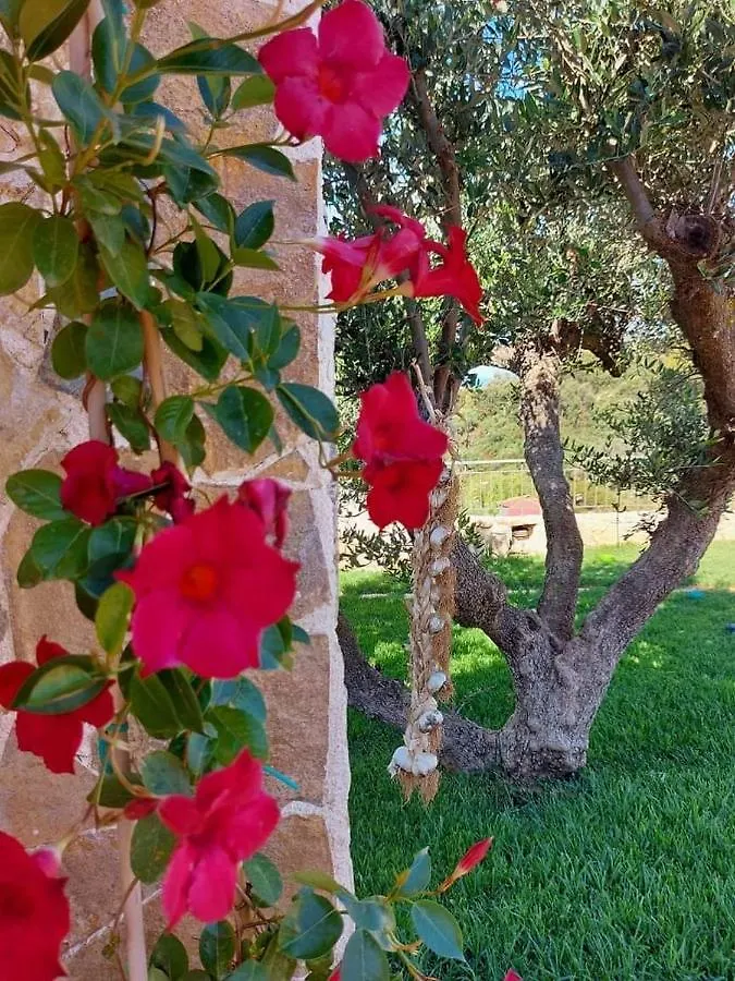 Vayianna'S Garden House Villa Lixouri